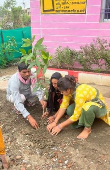 हरेली तिहार के अवसर पर ज़िले में हुआ वृहद वृक्षारोपण   प्रधानमंत्री आवास एव प्रधानमंत्री जनमन योजना अंतर्गत निर्मित आवासों में रोपे गए पौधे
